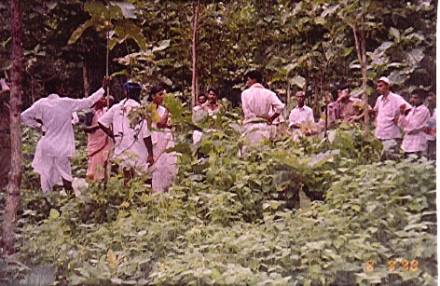 Original image