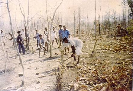 Original image